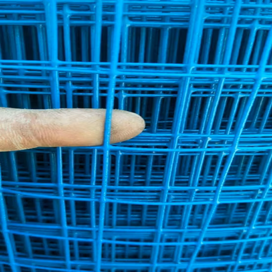 1/2 Inch PVC Coated Welded Wire Mesh